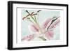 Lily Love 1-Marcus Prime-Framed Art Print