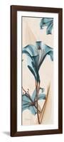 Lily Moments-Albert Koetsier-Framed Premium Giclee Print