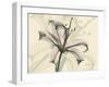 Lily Moments-Albert Koetsier-Framed Art Print