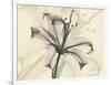 Lily Moments-Albert Koetsier-Framed Art Print