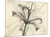 Lily Moments-Albert Koetsier-Mounted Art Print