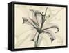 Lily Moments-Albert Koetsier-Framed Stretched Canvas