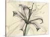 Lily Moments-Albert Koetsier-Stretched Canvas