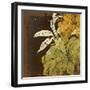 Lily Moonlight IV-Ken Hurd-Framed Giclee Print