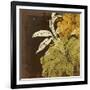 Lily Moonlight IV-Ken Hurd-Framed Giclee Print