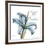 Lily Mother-Albert Koetsier-Framed Art Print