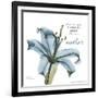 Lily Mother-Albert Koetsier-Framed Art Print