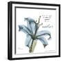 Lily Mother-Albert Koetsier-Framed Art Print