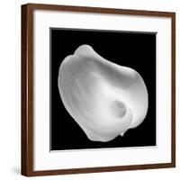 Lily Of Revelation, 2008-Hiroyuki Arakawa-Framed Photographic Print