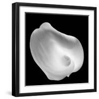 Lily Of Revelation, 2008-Hiroyuki Arakawa-Framed Photographic Print