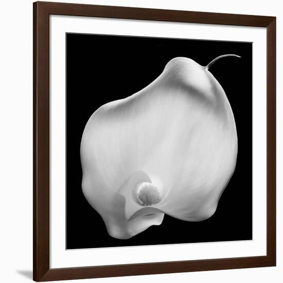 Lily Of Secrets, 2008-Hiroyuki Arakawa-Framed Photographic Print