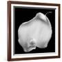 Lily Of Secrets, 2008-Hiroyuki Arakawa-Framed Photographic Print