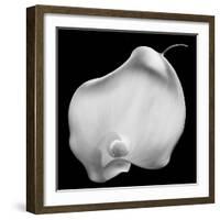 Lily Of Secrets, 2008-Hiroyuki Arakawa-Framed Photographic Print