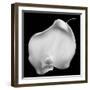 Lily Of Secrets, 2008-Hiroyuki Arakawa-Framed Photographic Print