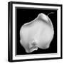 Lily Of Secrets, 2008-Hiroyuki Arakawa-Framed Photographic Print