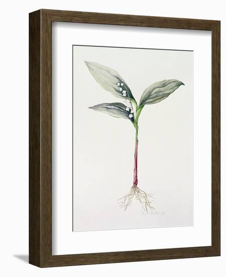 Lily of the Valley, 1995-Iona Hordern-Framed Giclee Print