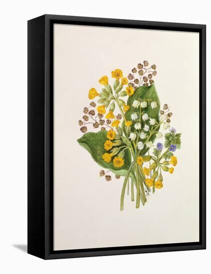 Lily of the Valley and Cowslips-Ursula Hodgson-Framed Stretched Canvas