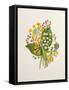 Lily of the Valley and Cowslips-Ursula Hodgson-Framed Stretched Canvas