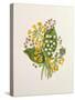 Lily of the Valley and Cowslips-Ursula Hodgson-Stretched Canvas