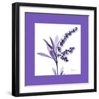 Lily Of The Valley Bordered-Albert Koetsier-Framed Art Print