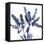 Lily of the valley bush-Albert Koetsier-Framed Stretched Canvas