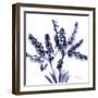 Lily of the valley bush-Albert Koetsier-Framed Art Print