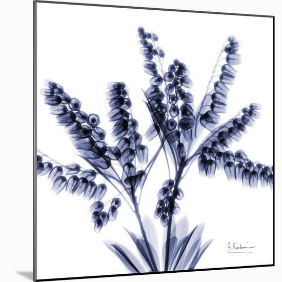 Lily of the valley bush-Albert Koetsier-Mounted Art Print