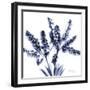 Lily of the valley bush-Albert Koetsier-Framed Premium Giclee Print