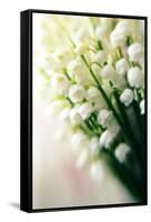 Lily of the Valley (Convallaria Majalis)-Maria Mosolova-Framed Stretched Canvas