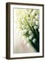 Lily of the Valley (Convallaria Majalis)-Maria Mosolova-Framed Photographic Print