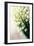 Lily of the Valley (Convallaria Majalis)-Maria Mosolova-Framed Photographic Print