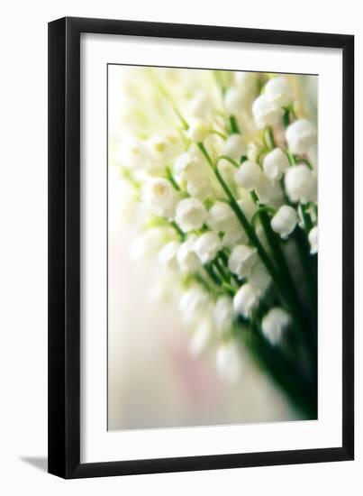 Lily of the Valley (Convallaria Majalis)-Maria Mosolova-Framed Photographic Print