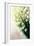 Lily of the Valley (Convallaria Majalis)-Maria Mosolova-Framed Photographic Print