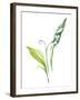 Lily of the Valley I-Sandra Jacobs-Framed Giclee Print