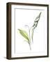 Lily of the Valley I-Sandra Jacobs-Framed Art Print