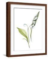 Lily of the Valley I-Sandra Jacobs-Framed Art Print