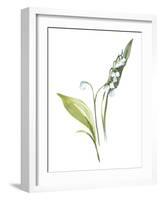 Lily of the Valley I-Sandra Jacobs-Framed Art Print