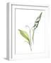 Lily of the Valley I-Sandra Jacobs-Framed Art Print