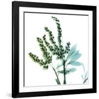 Lily of the Valley Stems-Albert Koetsier-Framed Art Print