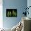 Lily of the Valley Study-Anna Miller-Photographic Print displayed on a wall