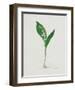 Lily of the Valley-Moritz Michael Daffinger-Framed Collectable Print