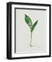 Lily of the Valley-Moritz Michael Daffinger-Framed Collectable Print