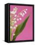 Lily of the valley-Ada Summer-Framed Stretched Canvas