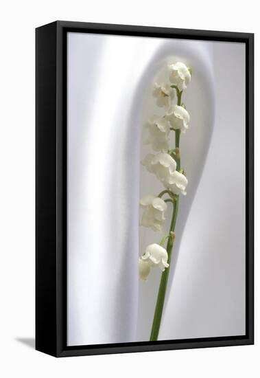 Lily of the Valley-Anna Miller-Framed Stretched Canvas