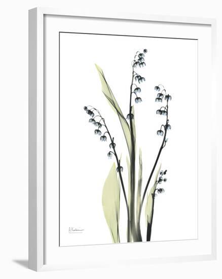 Lily of the Valley-Albert Koetsier-Framed Premium Giclee Print