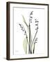 Lily of the Valley-Albert Koetsier-Framed Premium Giclee Print