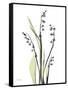 Lily of the Valley-Albert Koetsier-Framed Stretched Canvas