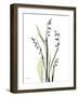 Lily of the Valley-Albert Koetsier-Framed Premium Giclee Print