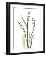 Lily of the Valley-Albert Koetsier-Framed Premium Giclee Print