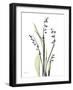 Lily of the Valley-Albert Koetsier-Framed Premium Giclee Print